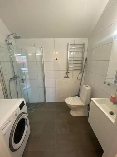La salle de bains est pourvue de toilettes et d'un lave-linge. dans l'établissement Luxurious Flat With A Rooftop Terrace, à Göteborg
