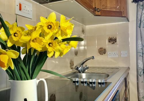 a vase filled with yellow flowers next to a sink at Granar y Garth in Aberystwyth