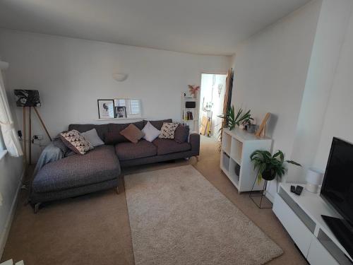 a living room with a couch and a flat screen tv at Central Caversham Reading one bed flat in Reading