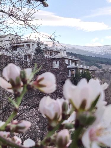 un edificio de fondo con flores en el primer plano en La Posada del Altozano, en Lanteira