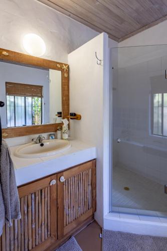 a bathroom with a sink and a shower at Tidal Retreat in Plettenberg Bay