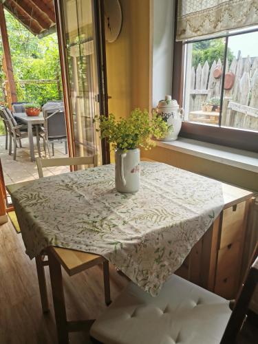 a table with a potted plant on top of it at Gartenwohnung Paulsdorf in Dippoldiswalde