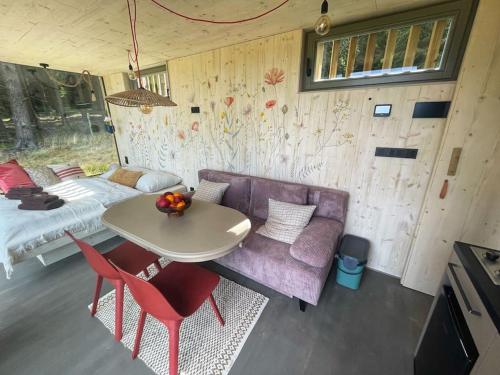 a room with a couch and a table and a bed at Tiny House Manka in Malšín