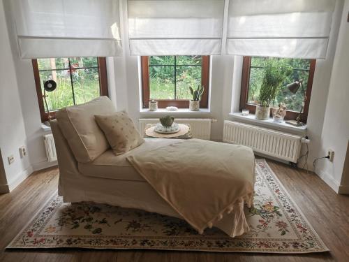 a living room with a bed and two windows at Gartenwohnung Paulsdorf in Dippoldiswalde
