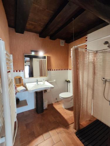 a bathroom with a sink and a toilet at La Casa Gran in Castielfabib