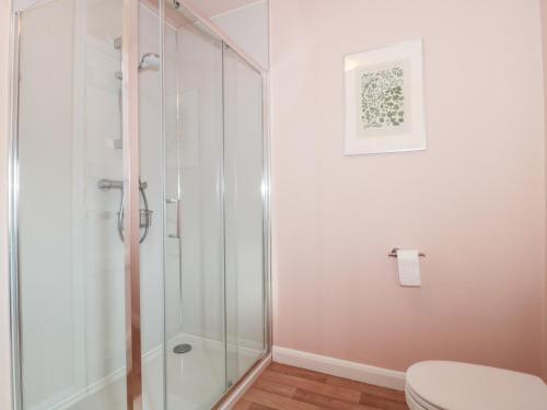 a bathroom with a shower and a toilet at Bluebird Cottage in Castle Cary