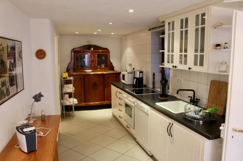 a kitchen with a sink and a counter top at Im Alten Kaufhaus in Rhodt unter Rietburg
