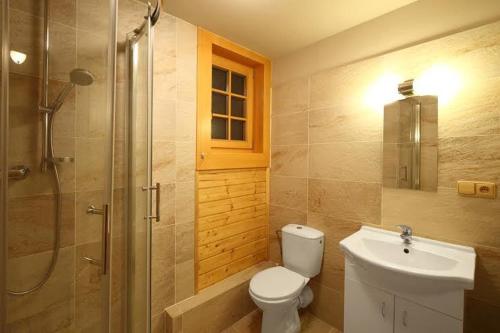 a bathroom with a toilet and a shower and a sink at Holiday Home MB Ranch in Bílá Hora