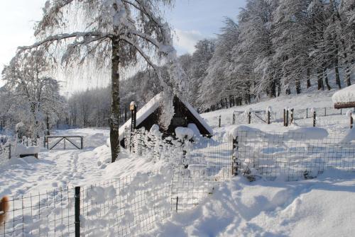 Hotel Waldmühle en invierno