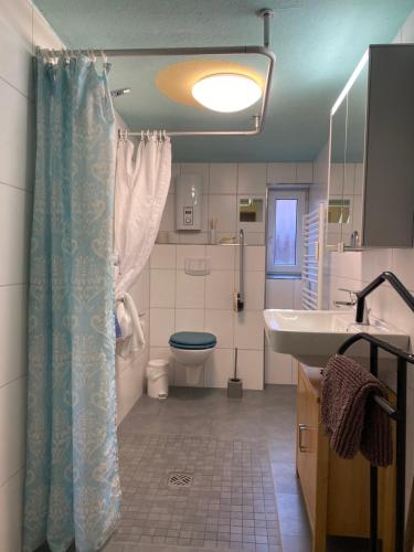 een badkamer met een douche, een toilet en een wastafel bij small accomondation with possibility for wellness in Beverungen