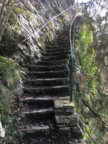 a set of stone stairs going up a hill at ziggy's room with a view in Heyd