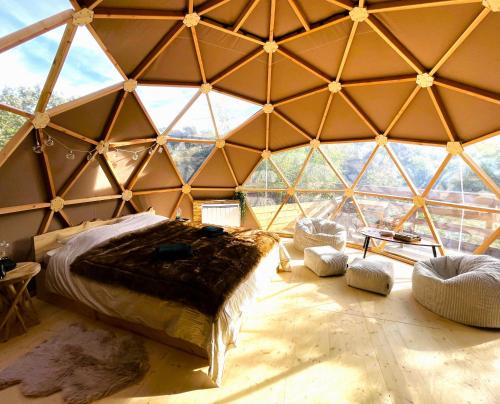 a room with a bed in a large glass igloo at Dôme Sirius - Provence étoilée in Rocbaron