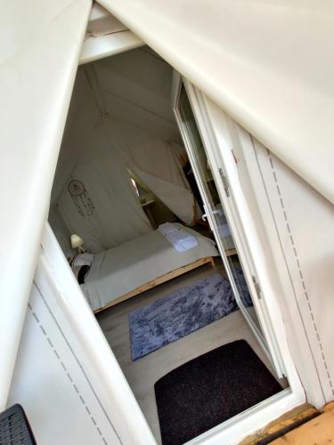 Foto dalla galleria di PINIALE GLAMPING TRIB a Bughea de Jos