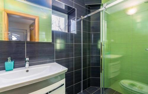 a bathroom with a sink and a glass shower at Villa Patrick in Gostinjac