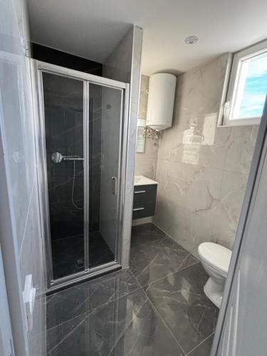 een badkamer met een douche en een toilet bij Luna in Décines-Charpieu