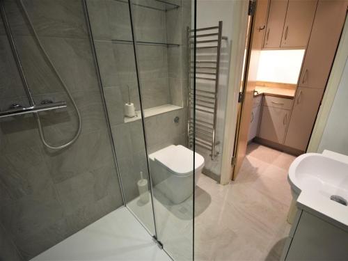 W łazience znajduje się prysznic, toaleta i umywalka. w obiekcie 3 bed property in Appledore Devon ESTVW w mieście Appledore