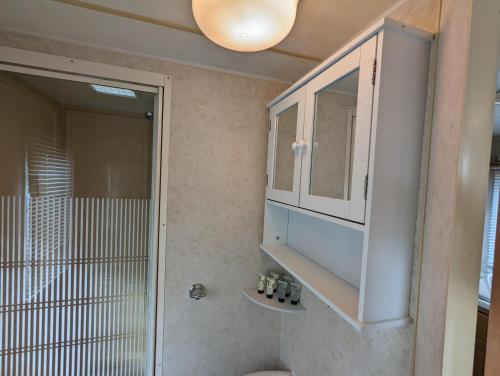 uma casa de banho com um armário de medicamentos e um chuveiro em Sandy Paws Anderby Creek - Dog Friendly em Skegness