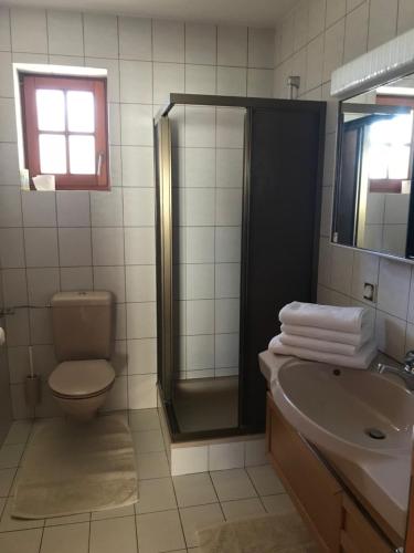 uma casa de banho com um chuveiro, um WC e um lavatório. em IV Gemütliche Ferienwohnung in Pool-Position em Sankt Michael ob Bleiburg