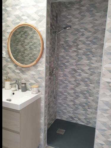 une salle de bain avec une douche avec un lavabo et un miroir dans l'établissement Studio de la Luciole, à Mouriès
