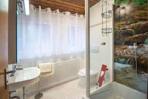 La salle de bains est pourvue d'une douche, d'un lavabo et de toilettes. dans l'établissement Hotel - Gasthof Blume, à Oppenau