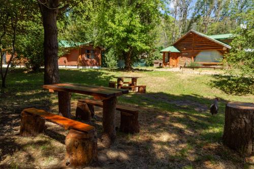 a picnic table and trees in a park with a cabin at Costa del Río in Lago Puelo