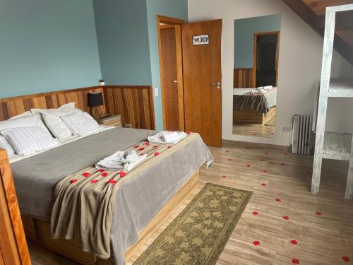 a bedroom with a large bed and a mirror at Bela Vista Chalé in Campos do Jordão