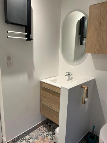 une salle de bain avec un lavabo et un miroir dans l'établissement Appartement Lou, hyper centre, au cœur de Troyes, à Troyes