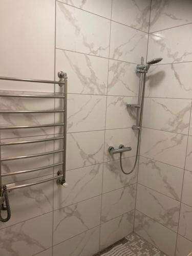 uma casa de banho com um chuveiro e uma porta de vidro em Apartamentai Rusnėje , Nemuno 13 em Rusne