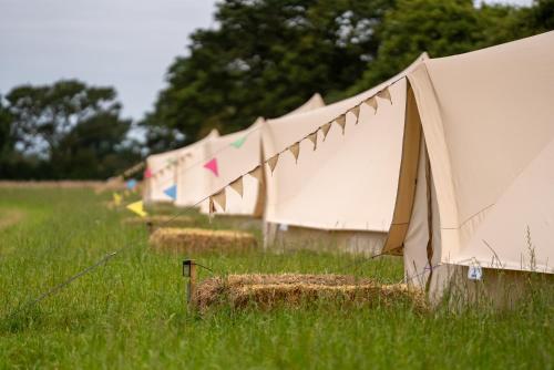 a row of tents in a field of grass at Shoreline Escapes at Hawthorn Field in Bransgore