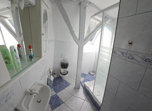 ein weißes Bad mit einer Dusche und einem WC in der Unterkunft Traumhaftes Ferienhaus im Buchengebirge in Bükkszentkereszt