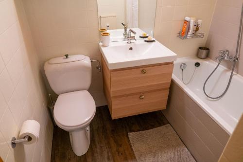 uma casa de banho com um WC, um lavatório e uma banheira em Cosy studio on the ski slopes em Gryon