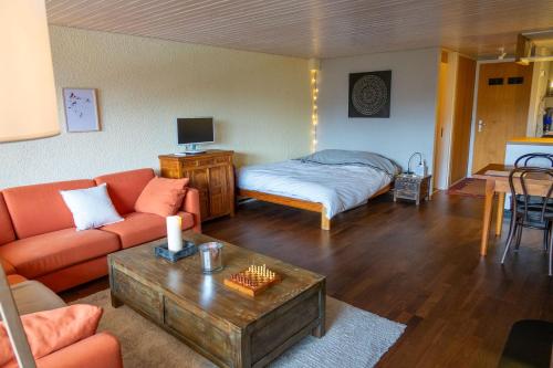 uma sala de estar com um sofá e uma cama em Cosy studio on the ski slopes em Gryon
