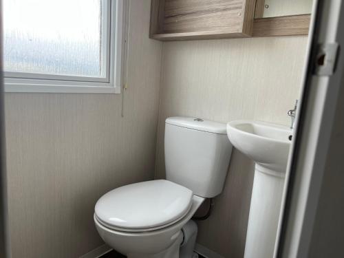 a small bathroom with a toilet and a sink at Ger-Y-Bwlch - Spacious static on 5star site with Swimming Pool in Benllech