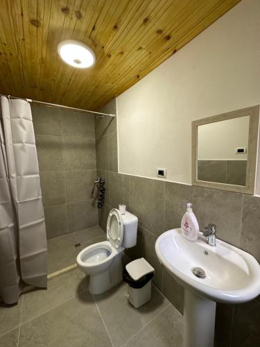 a bathroom with a white toilet and a sink at Hannas Hostel in Berat