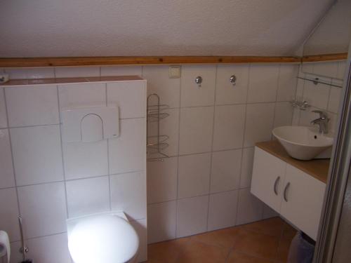 ein kleines Bad mit WC und Waschbecken in der Unterkunft Ferienhäuschen Grenzland in Bad Elster