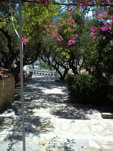 a walkway with trees and pink flowers and a fence at Sofos Apartments in Tsilivi