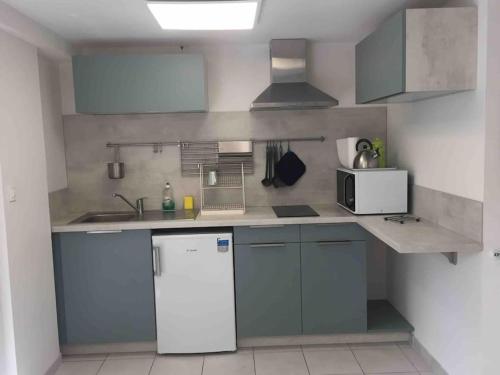 une cuisine avec un réfrigérateur blanc et un évier dans l'établissement Les ruisseaux, studios avec terrasse et jardin, à Valence