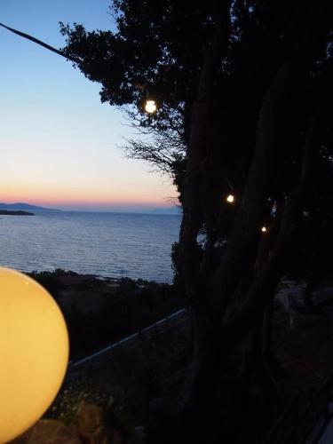 a tree with a view of the ocean at dusk at Sofos Apartments in Tsilivi