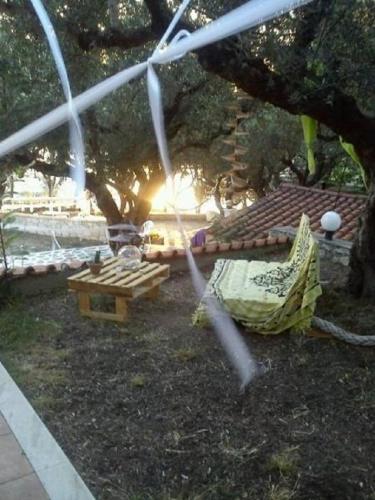a hammock and a picnic table under a tree at Sofos Apartments in Tsilivi
