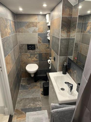 a bathroom with a sink and a toilet at Unique Royal Basement residence in Amsterdam