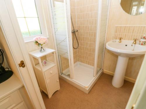 a bathroom with a shower and a sink at The Fairhaven in Richmond