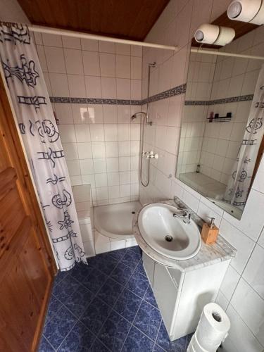 uma casa de banho com um lavatório, um chuveiro e um WC. em Apartment Holzhaus em Cuxhaven