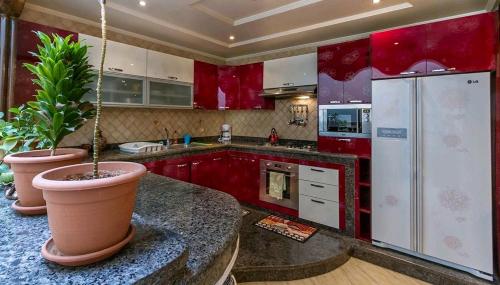 阿加迪爾的住宿－agadir hout phounti，厨房配有红色橱柜和盆栽盆子