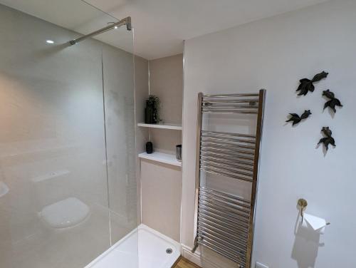 ein Bad mit einer Dusche und einem WC in der Unterkunft Swan Cottage in Barnard Castle