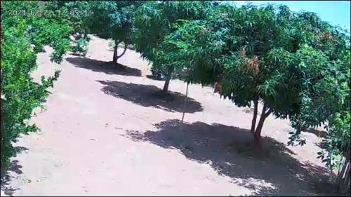 een uitzicht over de bomen in het zand bij Home Boy Lodge in Dodoma