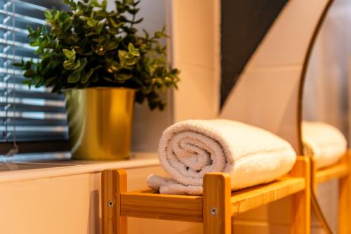 弗拉讷克Stadsappartement Franeker 11的靠窗的架子上摆着一条毛巾