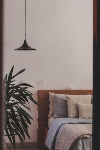 a bedroom with a bed and a potted plant at Cuna del Cielo in San Miguel de Allende
