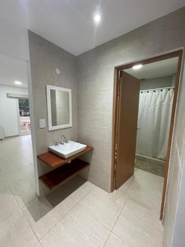 a bathroom with a sink and a mirror and a shower at La mansa del pinar in La Lucila del Mar