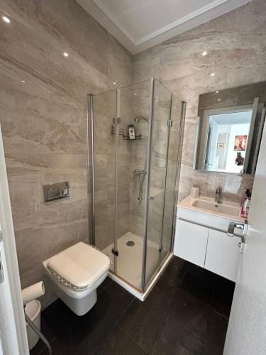 拉馬薩的住宿－luxueux duplex avec Rooftop a la Marsa，带淋浴、卫生间和盥洗盆的浴室