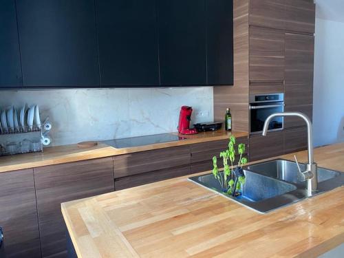a kitchen with a sink and a wooden counter top at Spacious app Diamond center #201 in Antwerp